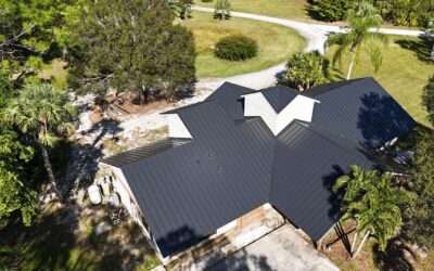 Green Roofing: A Sustainable Choice and Its Benefits