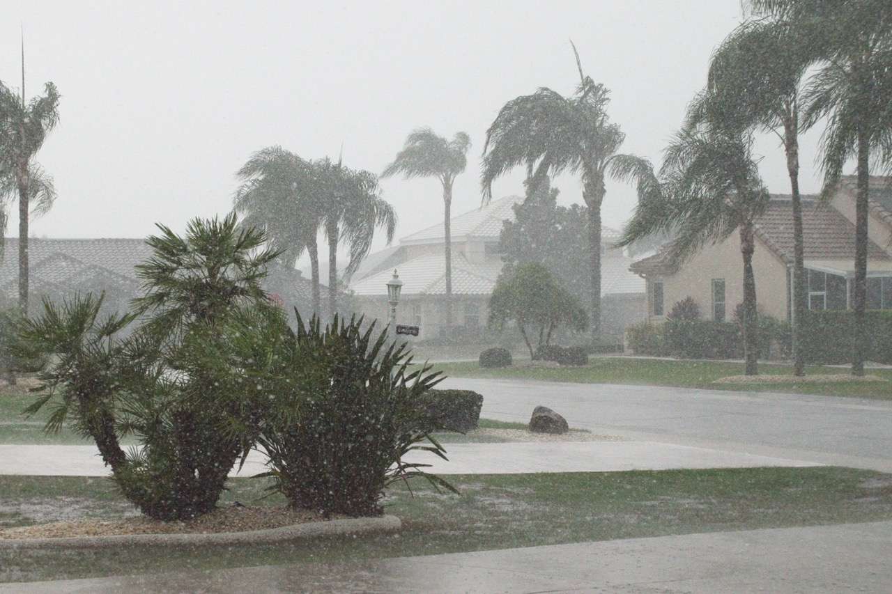 Heavy rainstorm in suburban neighborhood with palm trees
