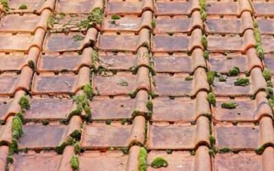 Why Proper Roof Ventilation Is Crucial